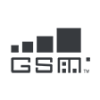 GSM Network (2G/3G and SMS)